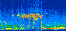 /calipso-imagery/data/BROWSE/production/V5-00/2019-12-11/2019-12-11_05-29-19_V5.00_3_thmb.png image missing