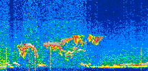 /calipso-imagery/data/BROWSE/production/V5-00/2019-12-11/2019-12-11_07-07-49_V5.00_2_thmb.png image missing