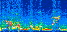 /calipso-imagery/data/BROWSE/production/V5-00/2019-12-11/2019-12-11_08-46-19_V5.00_2_thmb.png image missing