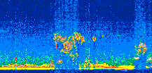 /calipso-imagery/data/BROWSE/production/V5-00/2019-12-11/2019-12-11_08-46-19_V5.00_3_thmb.png image missing