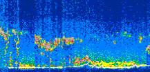 /calipso-imagery/data/BROWSE/production/V5-00/2019-12-11/2019-12-11_10-24-54_V5.00_3_thmb.png image missing
