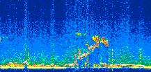 /calipso-imagery/data/BROWSE/production/V5-00/2019-12-11/2019-12-11_21-54-31_V5.00_3_thmb.png image missing