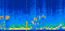 /calipso-imagery/data/BROWSE/production/V5-00/2019-12-11/2019-12-11_23-33-06_V5.00_3_thmb.png image missing
