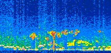 /calipso-imagery/data/BROWSE/production/V5-00/2019-12-12/2019-12-12_02-50-07_V5.00_2_thmb.png image missing