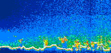/calipso-imagery/data/BROWSE/production/V5-00/2019-12-12/2019-12-12_04-28-42_V5.00_1_thmb.png image missing