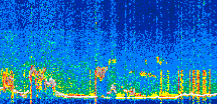 /calipso-imagery/data/BROWSE/production/V5-00/2019-12-12/2019-12-12_12-41-18_V5.00_2_thmb.png image missing