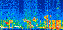 /calipso-imagery/data/BROWSE/production/V5-00/2019-12-12/2019-12-12_14-19-48_V5.00_2_thmb.png image missing