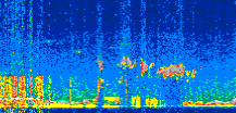 /calipso-imagery/data/BROWSE/production/V5-00/2019-12-12/2019-12-12_14-19-48_V5.00_3_thmb.png image missing