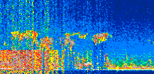 /calipso-imagery/data/BROWSE/production/V5-00/2019-12-12/2019-12-12_17-36-54_V5.00_3_thmb.png image missing