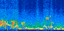 /calipso-imagery/data/BROWSE/production/V5-00/2019-12-12/2019-12-12_20-53-59_V5.00_2_thmb.png image missing