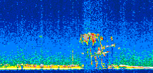 /calipso-imagery/data/BROWSE/production/V5-00/2019-12-12/2019-12-12_20-53-59_V5.00_3_thmb.png image missing