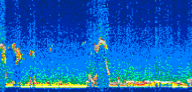 /calipso-imagery/data/BROWSE/production/V5-00/2019-12-12/2019-12-12_22-32-29_V5.00_3_thmb.png image missing