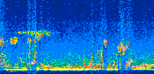 /calipso-imagery/data/BROWSE/production/V5-00/2019-12-13/2019-12-13_00-10-59_V5.00_3_thmb.png image missing