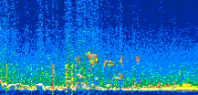 /calipso-imagery/data/BROWSE/production/V5-00/2019-12-13/2019-12-13_01-49-35_V5.00_2_thmb.png image missing