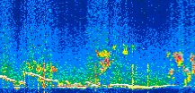 /calipso-imagery/data/BROWSE/production/V5-00/2019-12-13/2019-12-13_05-06-35_V5.00_2_thmb.png image missing