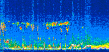 /calipso-imagery/data/BROWSE/production/V5-00/2019-12-13/2019-12-13_05-06-35_V5.00_3_thmb.png image missing