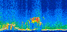 /calipso-imagery/data/BROWSE/production/V5-00/2019-12-13/2019-12-13_06-45-05_V5.00_2_thmb.png image missing