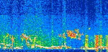 /calipso-imagery/data/BROWSE/production/V5-00/2019-12-13/2019-12-13_13-19-16_V5.00_2_thmb.png image missing