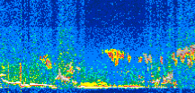 /calipso-imagery/data/BROWSE/production/V5-00/2019-12-14/2019-12-14_00-48-58_V5.00_2_thmb.png image missing