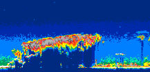 /calipso-imagery/data/BROWSE/production/V5-00/2019-12-14/2019-12-14_06-36-58_V5.00_2_thmb.png image missing