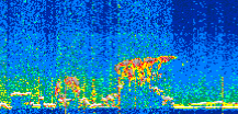 /calipso-imagery/data/BROWSE/production/V5-00/2019-12-14/2019-12-14_07-23-04_V5.00_2_thmb.png image missing