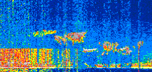 /calipso-imagery/data/BROWSE/production/V5-00/2019-12-14/2019-12-14_15-35-40_V5.00_3_thmb.png image missing
