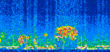 /calipso-imagery/data/BROWSE/production/V5-00/2019-12-14/2019-12-14_20-31-15_V5.00_2_thmb.png image missing