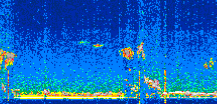 /calipso-imagery/data/BROWSE/production/V5-00/2019-12-14/2019-12-14_22-09-51_V5.00_3_thmb.png image missing