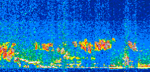 /calipso-imagery/data/BROWSE/production/V5-00/2019-12-15/2019-12-15_01-26-51_V5.00_2_thmb.png image missing