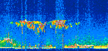 /calipso-imagery/data/BROWSE/production/V5-00/2019-12-15/2019-12-15_04-43-56_V5.00_3_thmb.png image missing