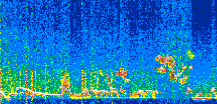 /calipso-imagery/data/BROWSE/production/V5-00/2019-12-15/2019-12-15_08-00-57_V5.00_2_thmb.png image missing