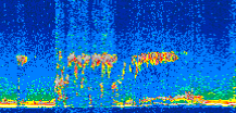 /calipso-imagery/data/BROWSE/production/V5-00/2019-12-15/2019-12-15_08-00-57_V5.00_3_thmb.png image missing