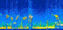 /calipso-imagery/data/BROWSE/production/V5-00/2019-12-15/2019-12-15_09-39-32_V5.00_3_thmb.png image missing