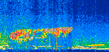 /calipso-imagery/data/BROWSE/production/V5-00/2019-12-15/2019-12-15_11-18-02_V5.00_2_thmb.png image missing
