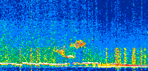 /calipso-imagery/data/BROWSE/production/V5-00/2019-12-15/2019-12-15_12-56-32_V5.00_2_thmb.png image missing