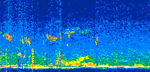 /calipso-imagery/data/BROWSE/production/V5-00/2019-12-15/2019-12-15_12-56-32_V5.00_3_thmb.png image missing
