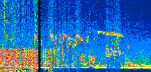 /calipso-imagery/data/BROWSE/production/V5-00/2019-12-15/2019-12-15_17-52-08_V5.00_3_thmb.png image missing