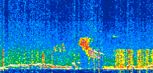 /calipso-imagery/data/BROWSE/production/V5-00/2019-12-15/2019-12-15_19-30-38_V5.00_2_thmb.png image missing