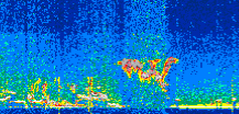 /calipso-imagery/data/BROWSE/production/V5-00/2019-12-15/2019-12-15_21-09-14_V5.00_2_thmb.png image missing