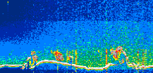 /calipso-imagery/data/BROWSE/production/V5-00/2019-12-15/2019-12-15_22-47-44_V5.00_1_thmb.png image missing