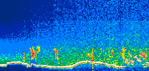 /calipso-imagery/data/BROWSE/production/V5-00/2019-12-17/2019-12-17_02-42-43_V5.00_1_thmb.png image missing