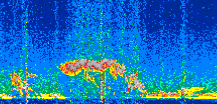 /calipso-imagery/data/BROWSE/production/V5-00/2019-12-17/2019-12-17_02-42-43_V5.00_2_thmb.png image missing