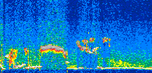 /calipso-imagery/data/BROWSE/production/V5-00/2019-12-17/2019-12-17_05-59-48_V5.00_2_thmb.png image missing