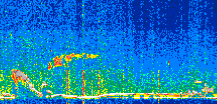 /calipso-imagery/data/BROWSE/production/V5-00/2019-12-17/2019-12-17_09-16-48_V5.00_2_thmb.png image missing