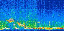 /calipso-imagery/data/BROWSE/production/V5-00/2019-12-17/2019-12-17_10-55-19_V5.00_2_thmb.png image missing