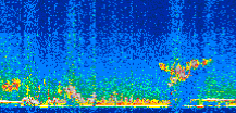 /calipso-imagery/data/BROWSE/production/V5-00/2019-12-17/2019-12-17_20-46-30_V5.00_2_thmb.png image missing