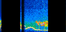 /calipso-imagery/data/BROWSE/production/V5-00/2019-12-21/2019-12-21_05-14-26_V5.00_1_thmb.png image missing