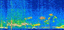 /calipso-imagery/data/BROWSE/production/V5-00/2019-12-22/2019-12-22_02-35-19_V5.00_2_thmb.png image missing