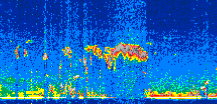/calipso-imagery/data/BROWSE/production/V5-00/2019-12-22/2019-12-22_04-13-49_V5.00_3_thmb.png image missing