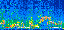 /calipso-imagery/data/BROWSE/production/V5-00/2019-12-22/2019-12-22_05-52-24_V5.00_2_thmb.png image missing